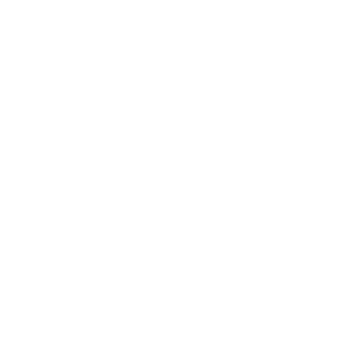 business presentation